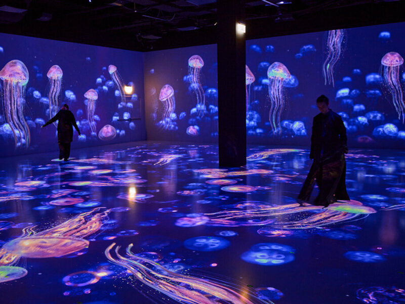 В МФК «Солнце Москвы» открылось первое в России мультимедийное иммерсивное пространство