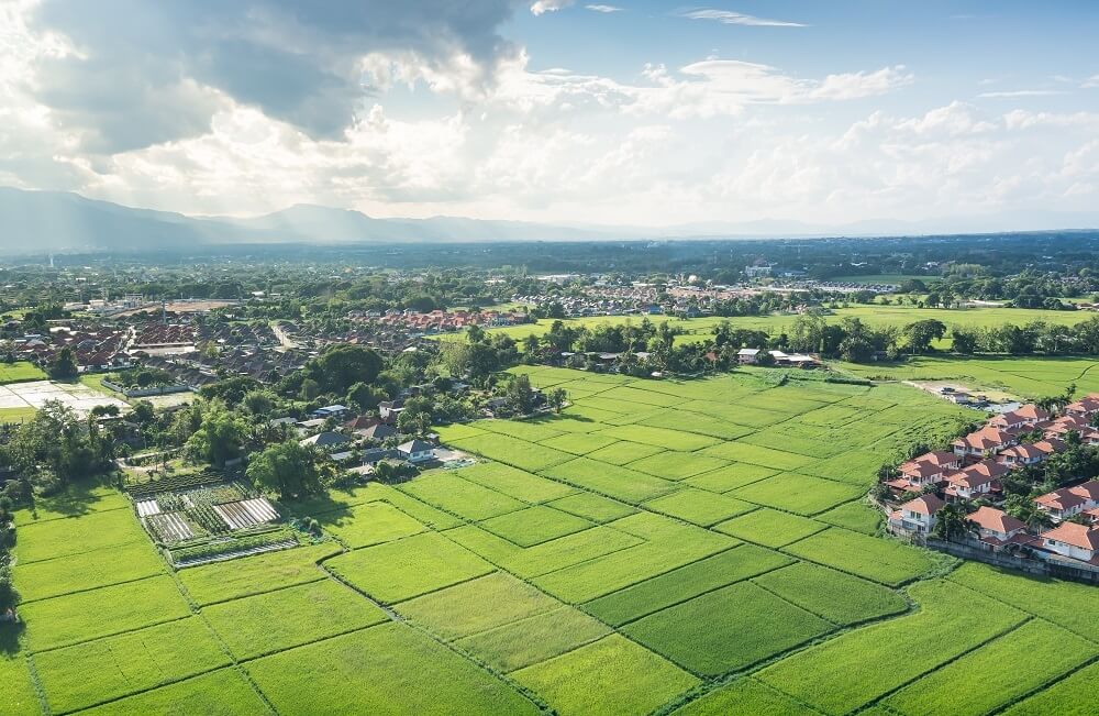 Больше, но дешевле: объем инвестиций в землю под строительство жилья в Петербурге и Ленобласти за год упал на 40%
