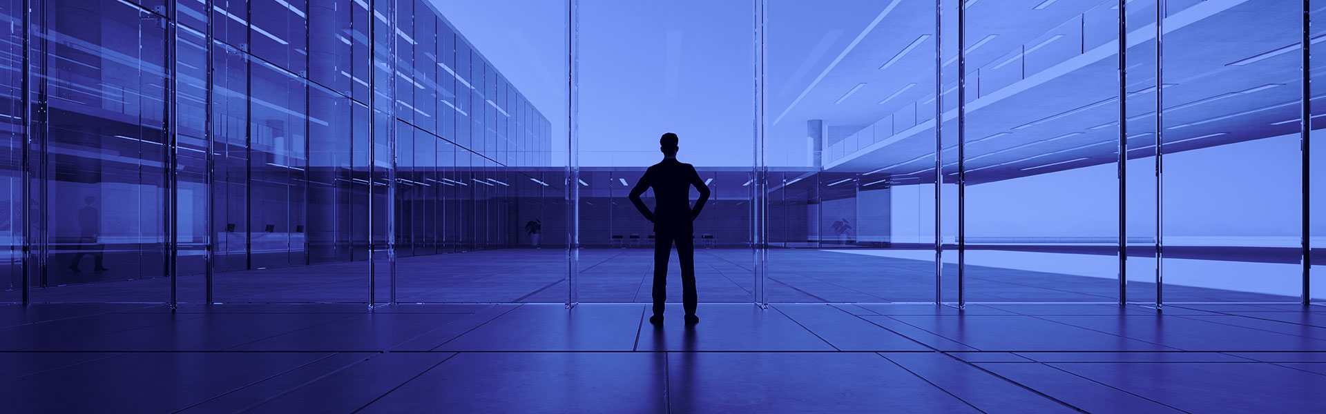 Карьера в Nikoliers