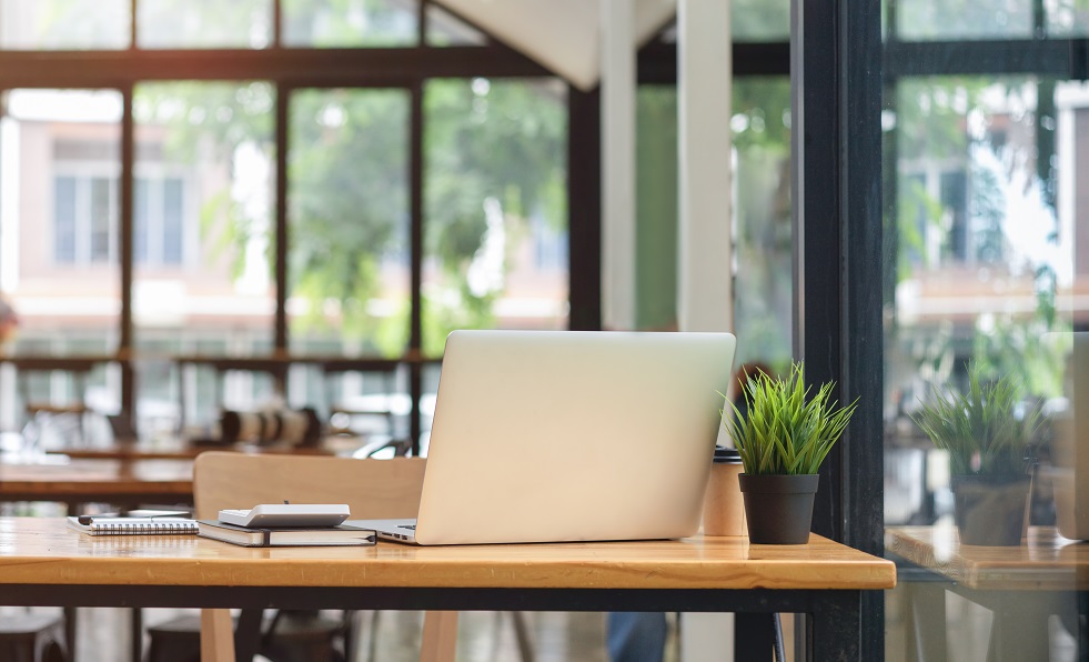 В Петербурге в два раза сократилось число открытий новых коворкингов